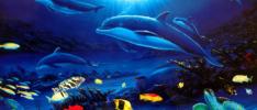 Wyland: ocean inspirational