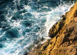 Using Flickr to Save the World